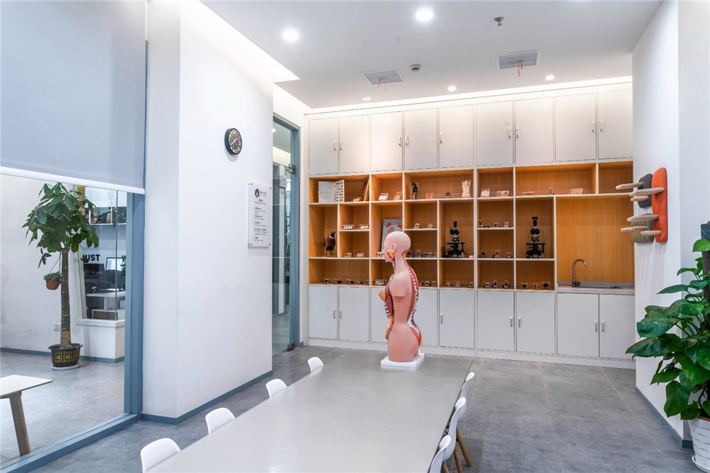 郑州托特少儿科学开云手机网登入中心装修设计案例