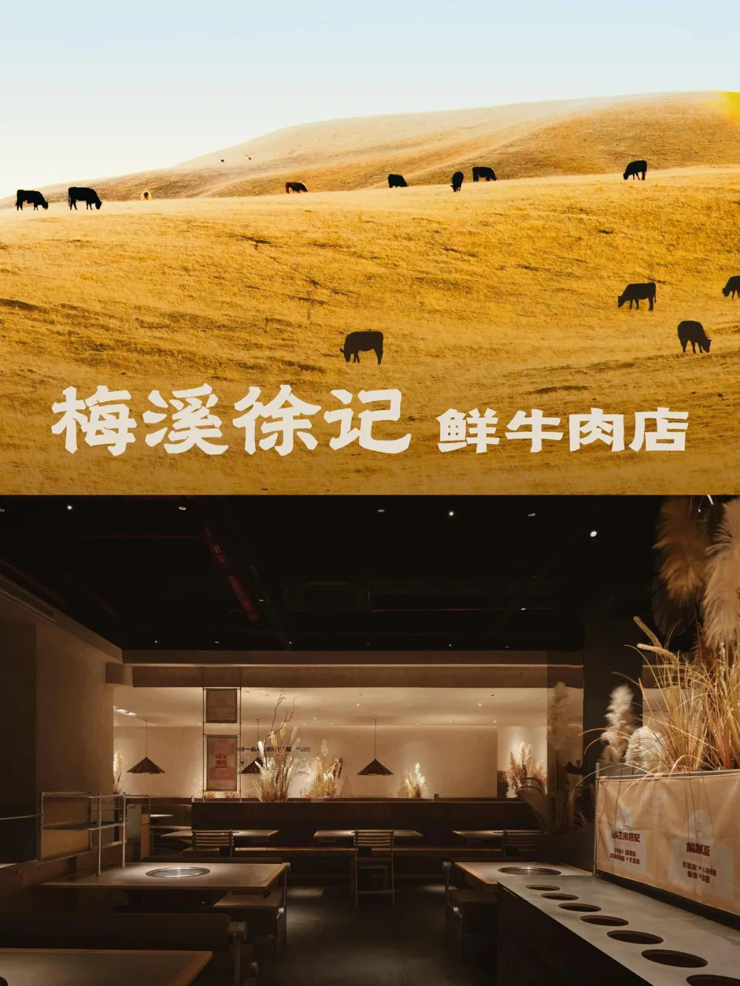 徐记·鲜牛肉潮汕火锅店全案装修设计方案(图1)